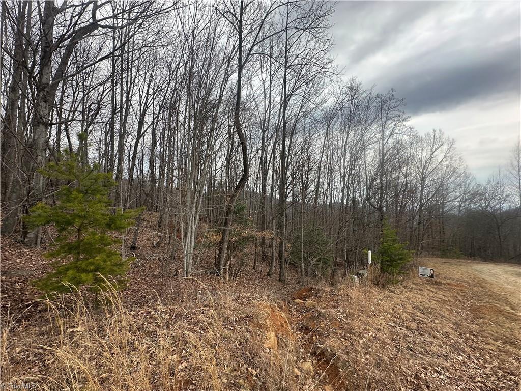 TBD Falcon Ridge Drive, Moravian Falls, North Carolina image 6