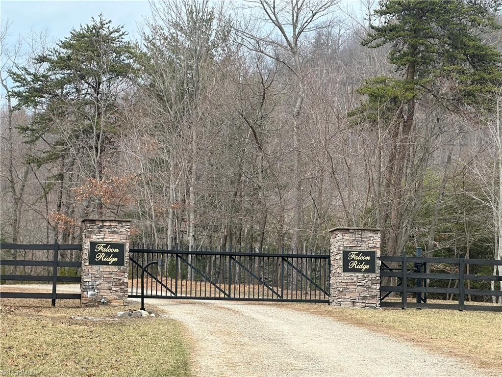TBD Falcon Ridge Drive, Moravian Falls, North Carolina image 1