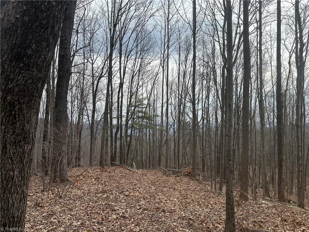TBD Falcon Ridge Drive, Moravian Falls, North Carolina image 8