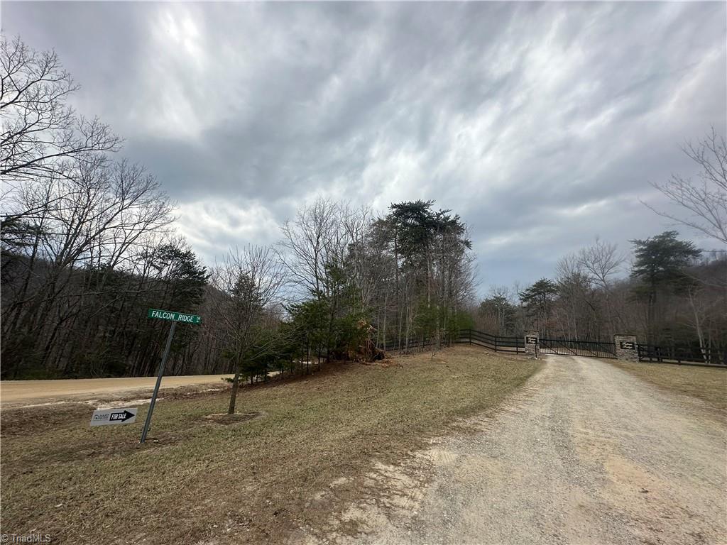 TBD Falcon Ridge Drive, Moravian Falls, North Carolina image 3