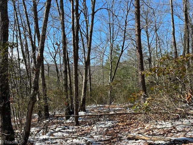 Old Railroad Grade Road, Thurmond, North Carolina image 9