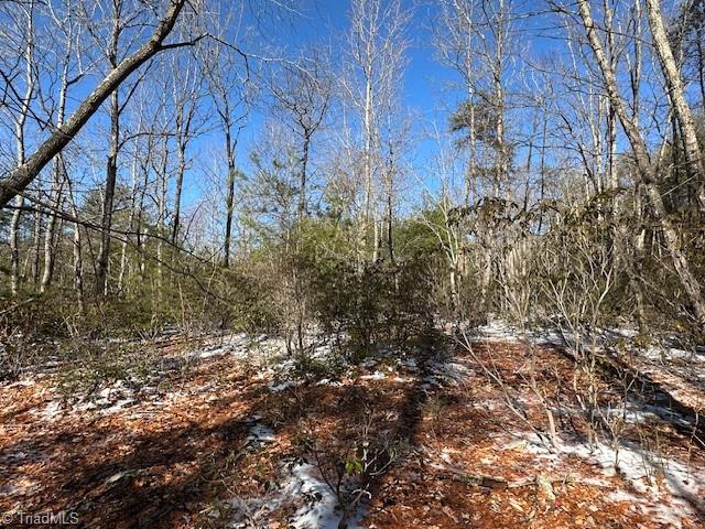 Old Railroad Grade Road, Thurmond, North Carolina image 8