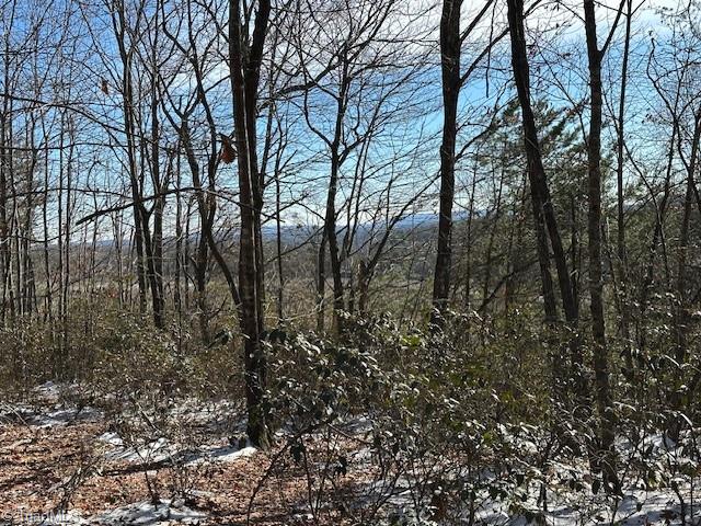 Old Railroad Grade Road, Thurmond, North Carolina image 7