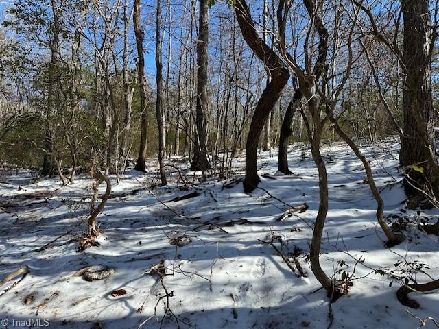 Old Railroad Grade Road, Thurmond, North Carolina image 14