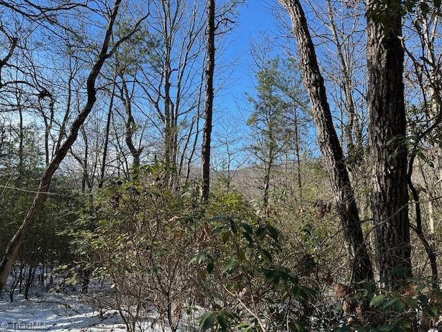 Old Railroad Grade Road, Thurmond, North Carolina image 11