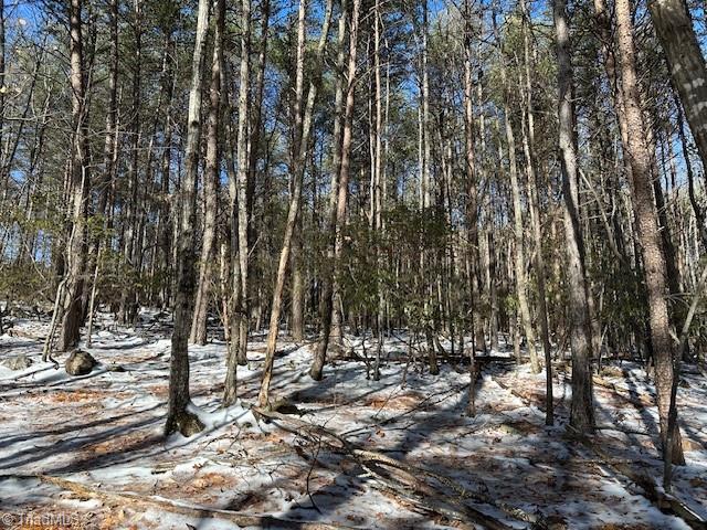 Old Railroad Grade Road, Thurmond, North Carolina image 10