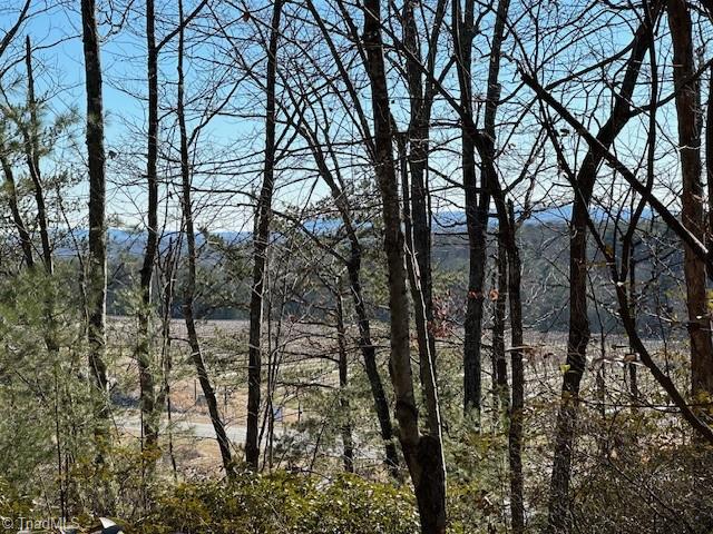 Old Railroad Grade Road, Thurmond, North Carolina image 1