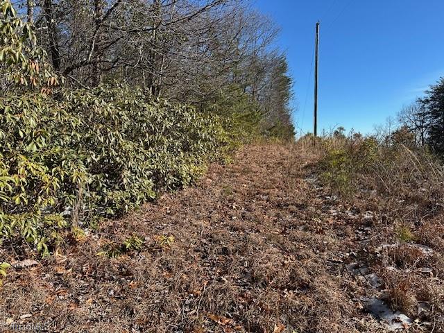 Old Railroad Grade Road, Thurmond, North Carolina image 12