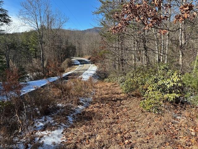 Old Railroad Grade Road, Thurmond, North Carolina image 4