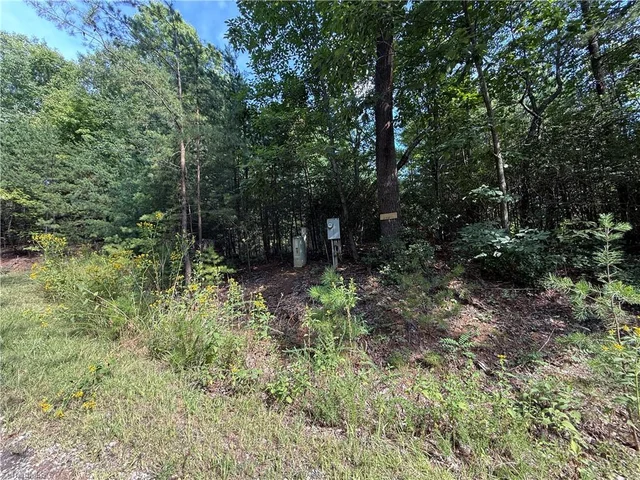 Lot 24 Wolf Pen Road, photo 2 of 36