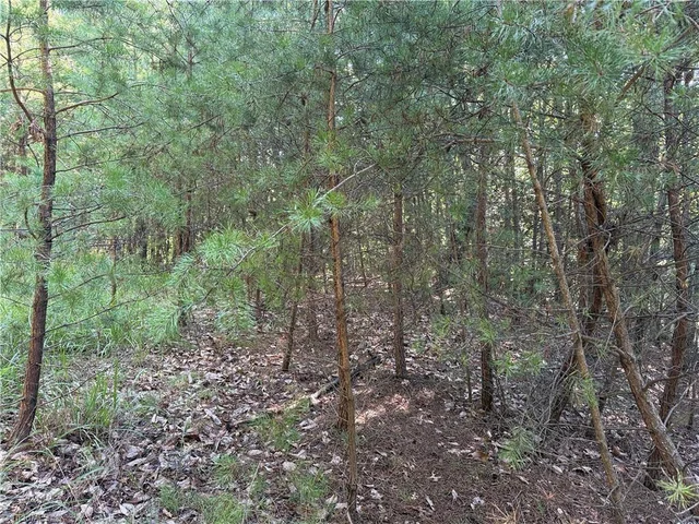 Lot 24 Wolf Pen Road, photo 5 of 36