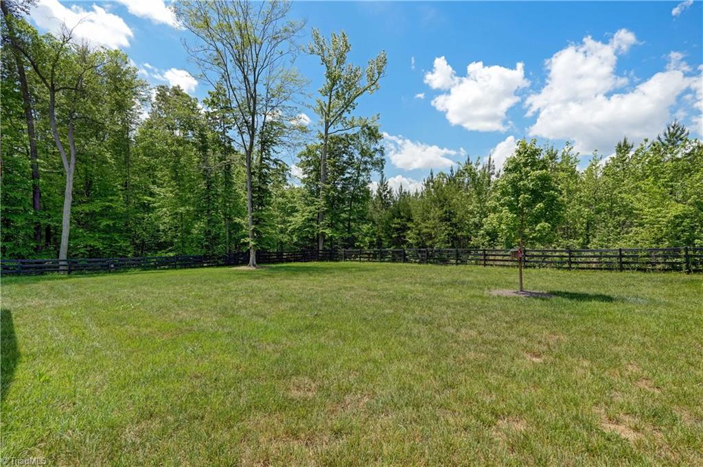 1321 Winterberry Drive, Reidsville, North Carolina image 32
