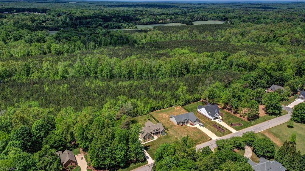 1321 Winterberry Drive, Reidsville, North Carolina image 6