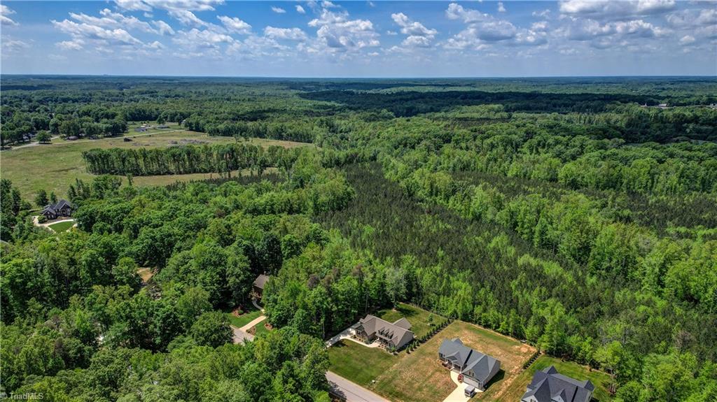 1321 Winterberry Drive, Reidsville, North Carolina image 8