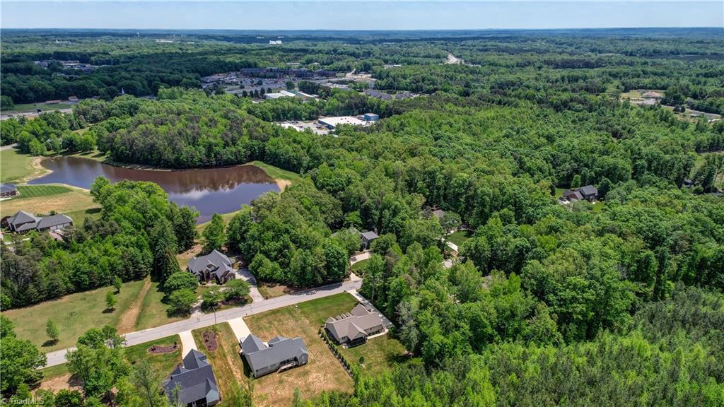 1321 Winterberry Drive, Reidsville, North Carolina image 9