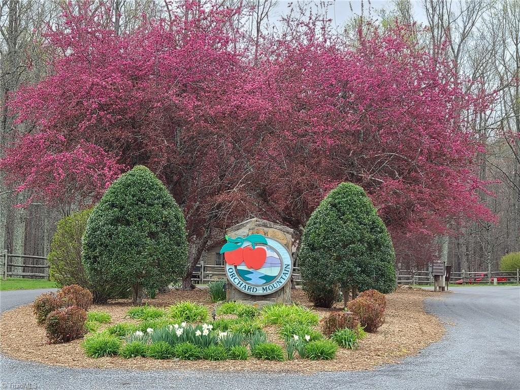 Lot 82 TBD Mcintosh Drive, Lowgap, North Carolina image 17