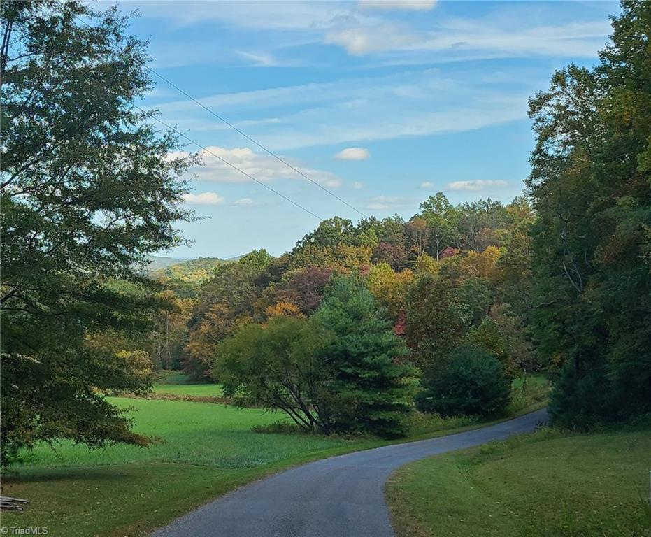 Lot 82 TBD Mcintosh Drive, Lowgap, North Carolina image 26