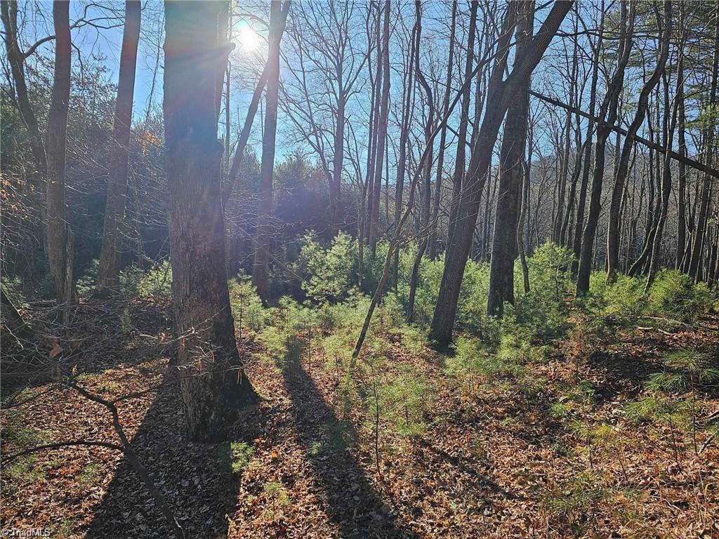 Lot 82 TBD Mcintosh Drive, Lowgap, North Carolina image 7