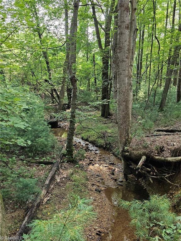 Lot 82 TBD Mcintosh Drive, Lowgap, North Carolina image 2