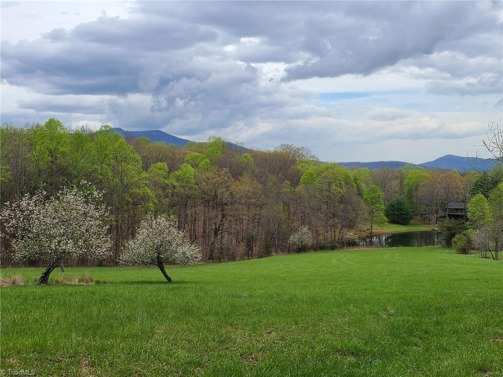 Lot 82 TBD Mcintosh Drive, Lowgap, North Carolina image 18