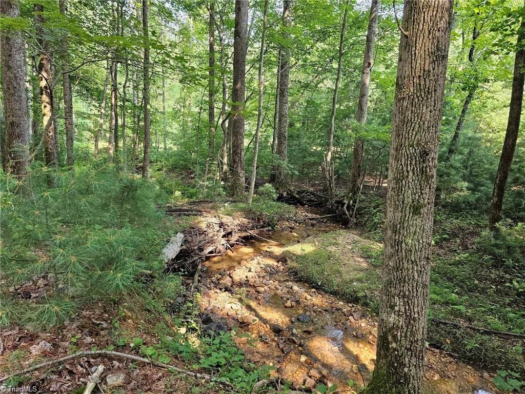 Lot 82 TBD Mcintosh Drive, Lowgap, North Carolina image 1