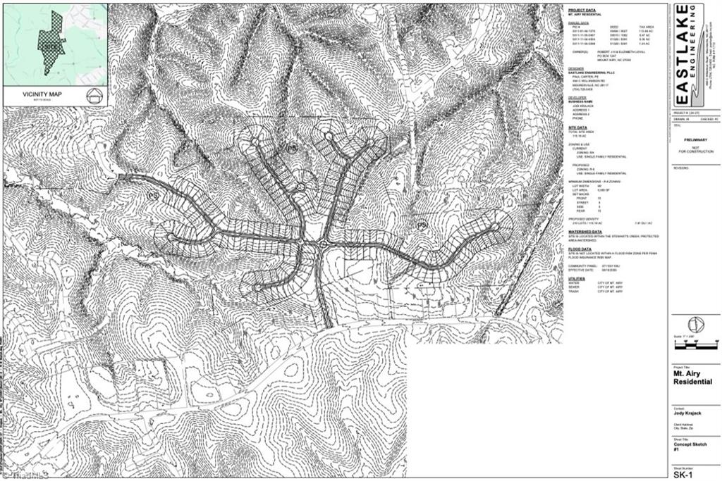 116.35 Franklin Road, Mount Airy, North Carolina image 4