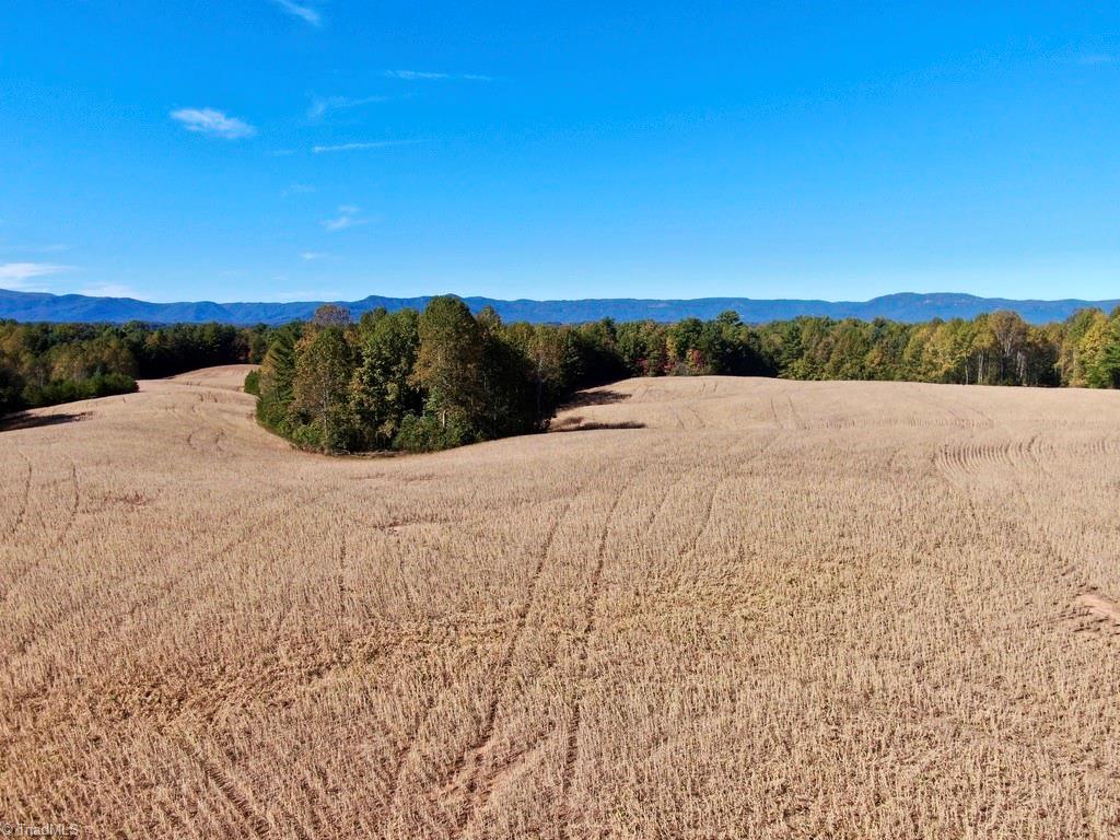 116.35 Franklin Road, Mount Airy, North Carolina image 10