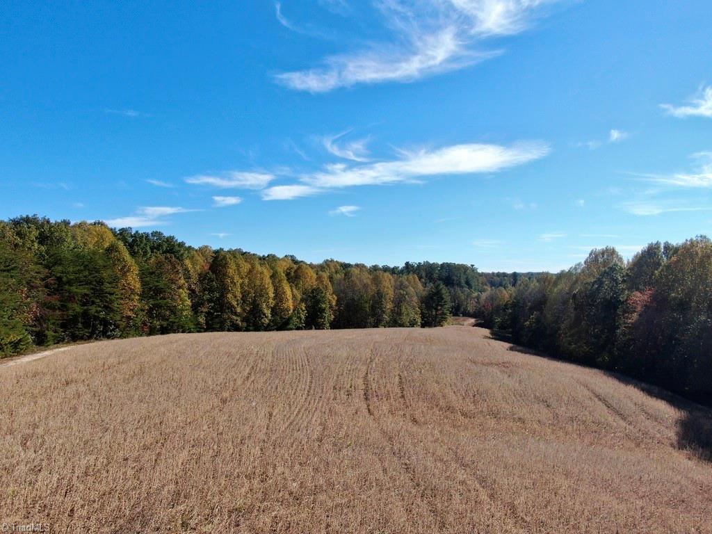116.35 Franklin Road, Mount Airy, North Carolina image 12