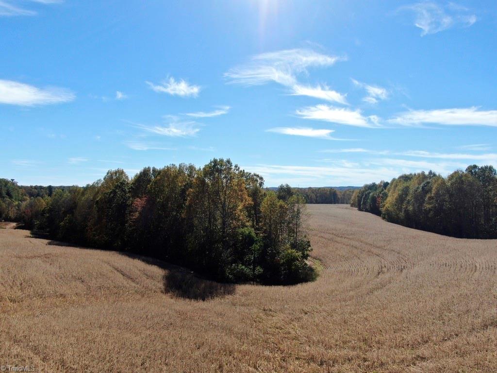 116.35 Franklin Road, Mount Airy, North Carolina image 8
