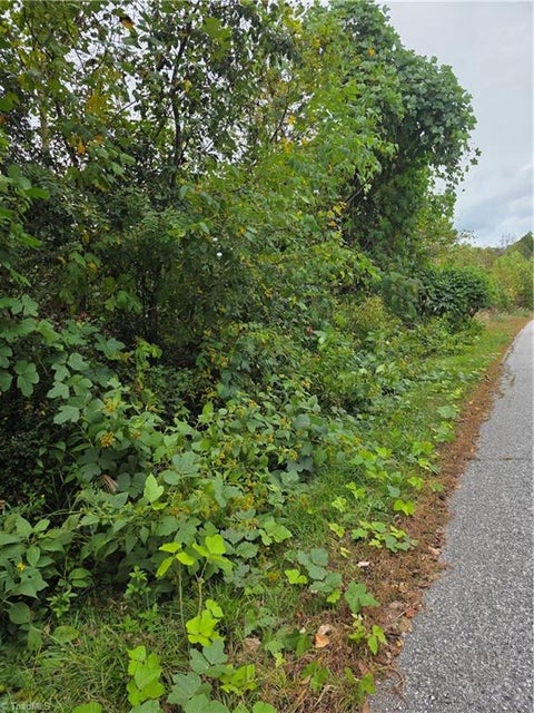 Vacant Land For Sale - 000 Holly Brook Street<br/> North Wilkesboro, NC 28659