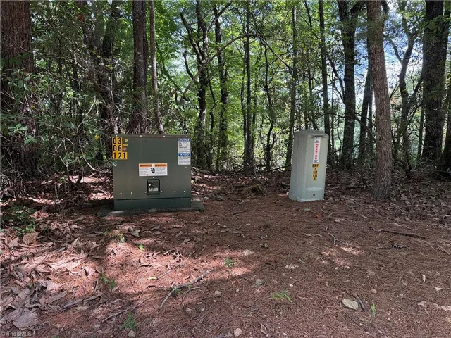 Lot 119 Rich Pine Drive, photo 2 of 31