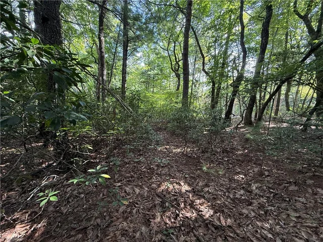 Lot 119 Rich Pine Drive, photo 4 of 31