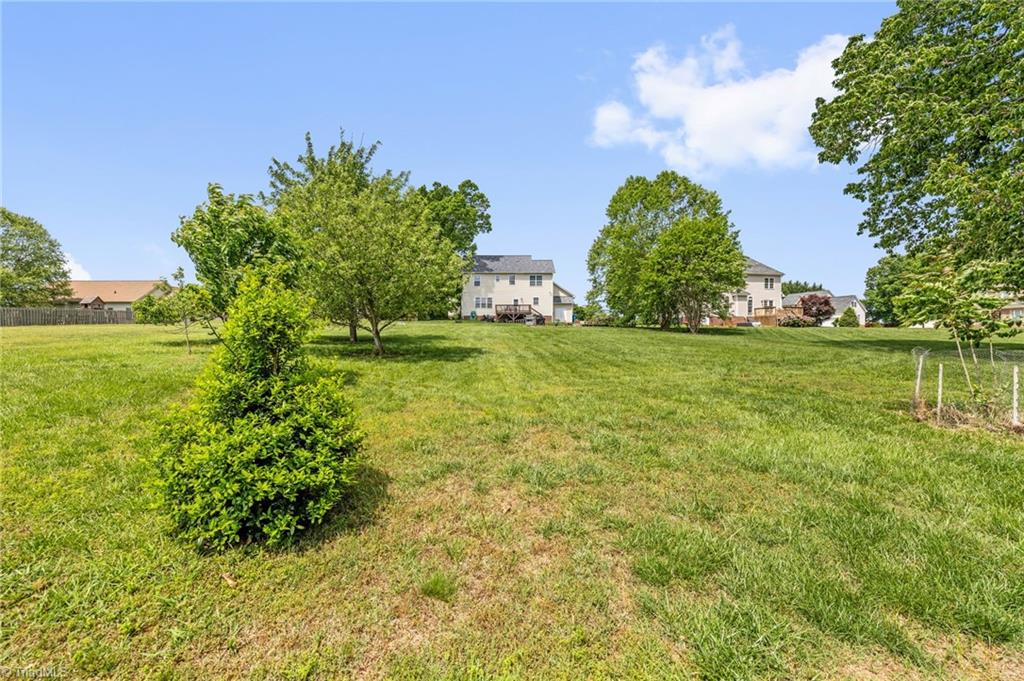 8320 Pearson Farm Court, Browns Summit, North Carolina image 41