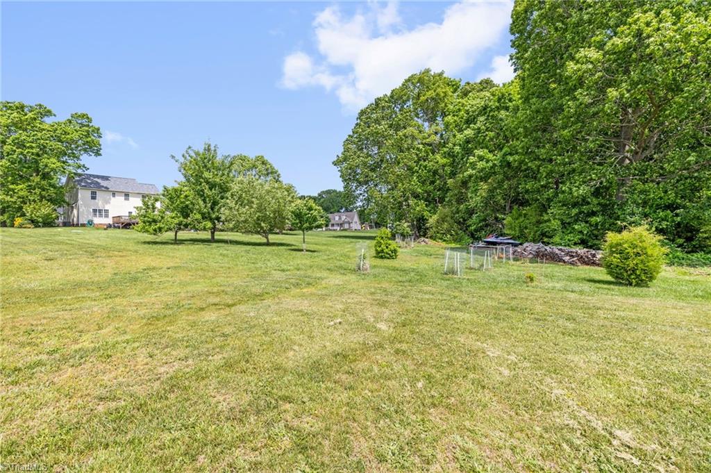 8320 Pearson Farm Court, Browns Summit, North Carolina image 40