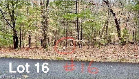 Vacant Land For Sale - LOT 16 Woods Haven Lane<br/> Patrick County, Stuart, VA 24171