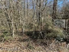 Lot 22 Woodruff Road, Jonesville, North Carolina image 9