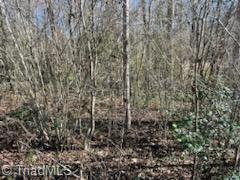 Lot 22 Woodruff Road, Jonesville, North Carolina image 11