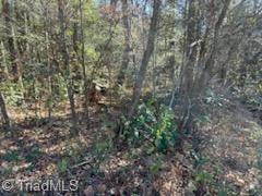 Lot 22 Woodruff Road, Jonesville, North Carolina image 5