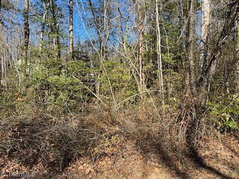 Lot 22 Woodruff Road, Jonesville, North Carolina image 2