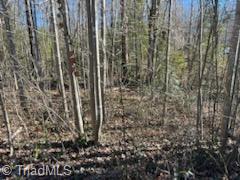 Lot 22 Woodruff Road, Jonesville, North Carolina image 8