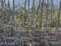 Lot 22 Woodruff Road, Jonesville, North Carolina image 7