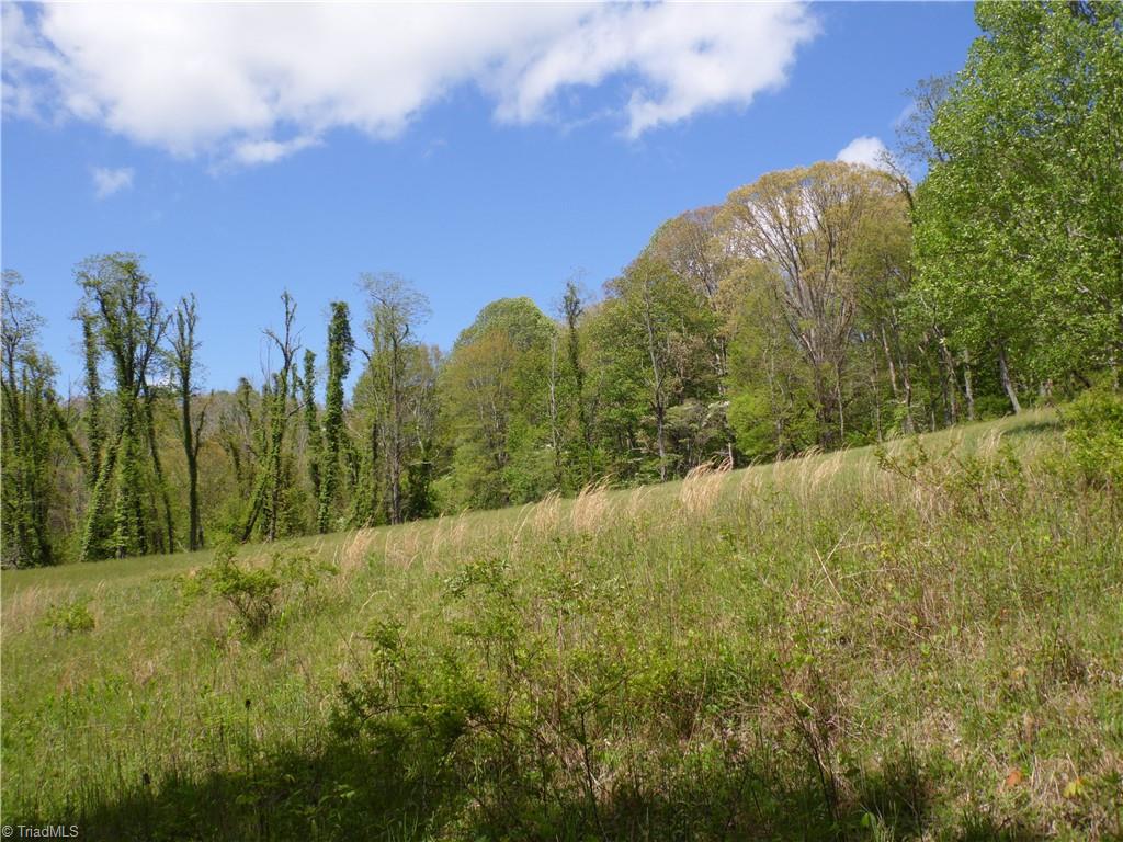 TBD Ginkgo Drive, Laurel Springs, North Carolina image 14