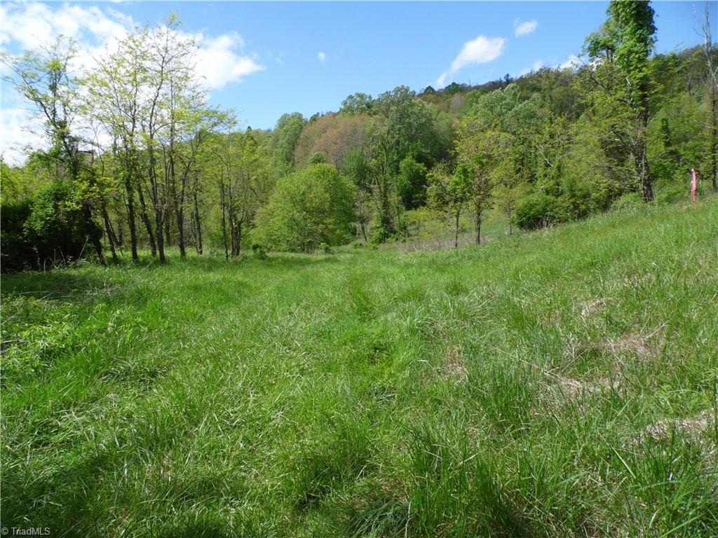 TBD Ginkgo Drive, Laurel Springs, North Carolina image 19