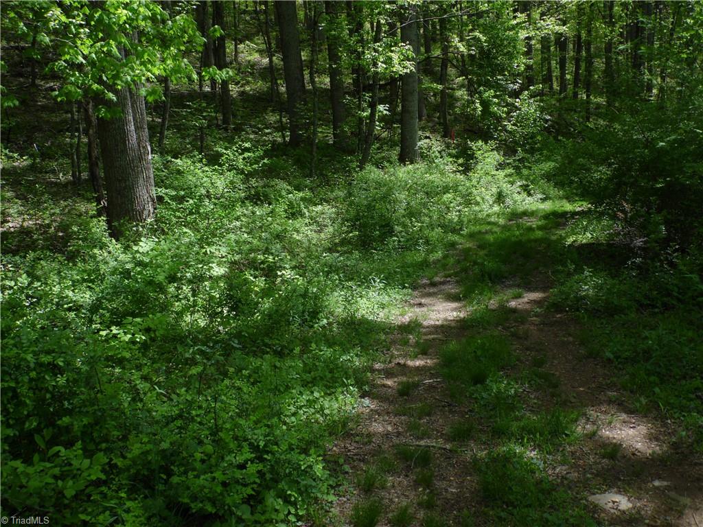 TBD Ginkgo Drive, Laurel Springs, North Carolina image 13