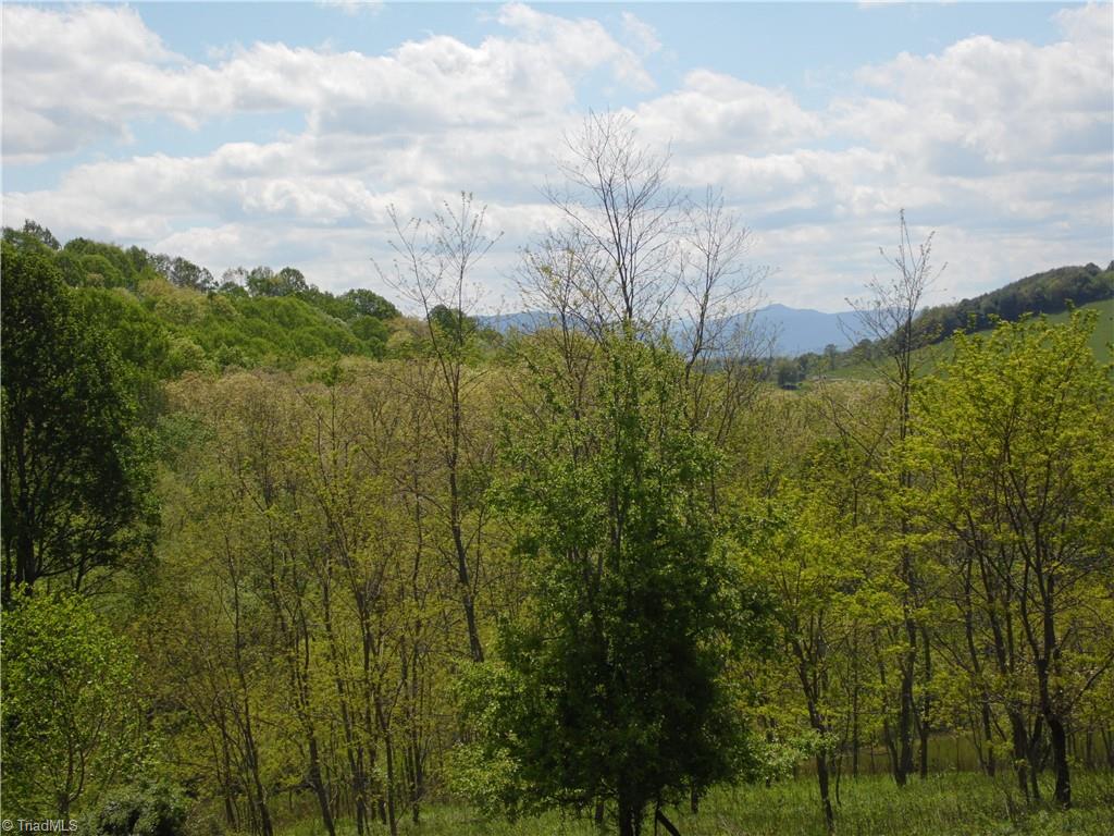 TBD Ginkgo Drive, Laurel Springs, North Carolina image 7