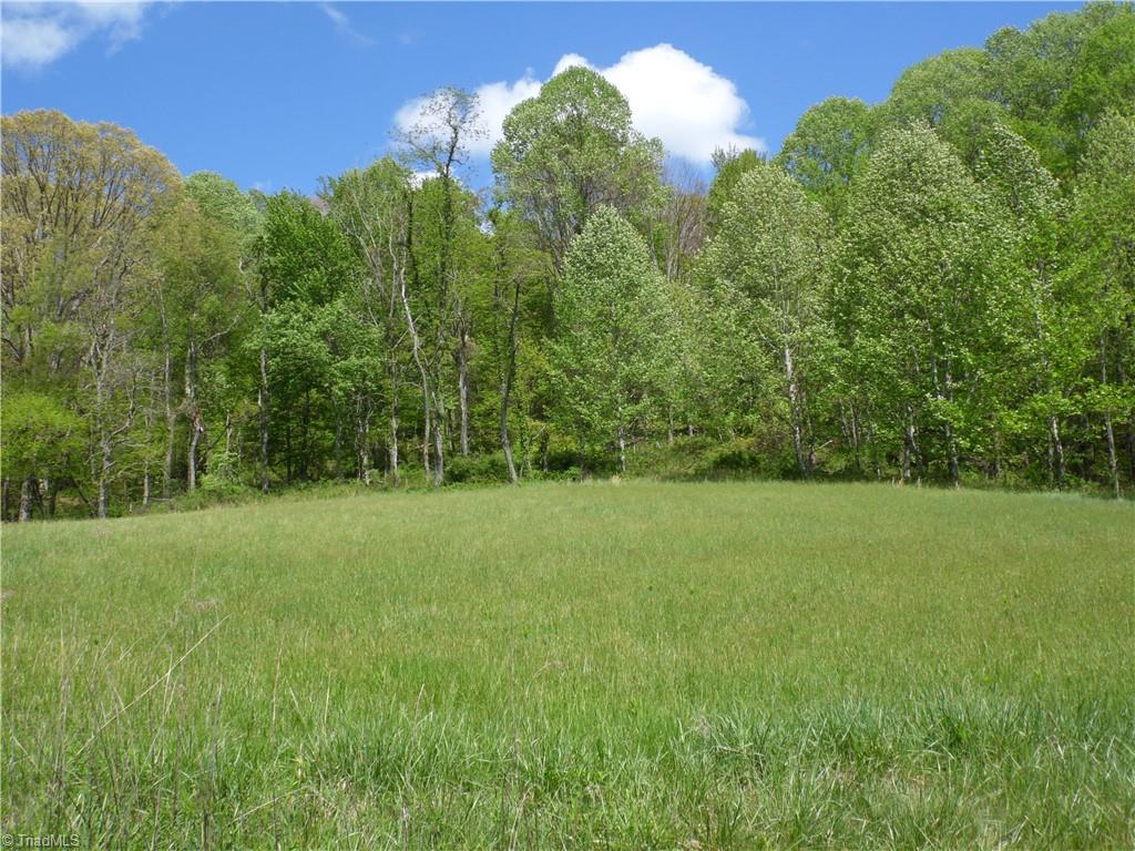 TBD Ginkgo Drive, Laurel Springs, North Carolina image 10