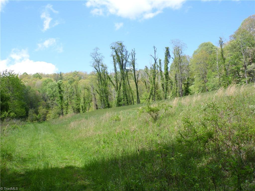 TBD Ginkgo Drive, Laurel Springs, North Carolina image 15
