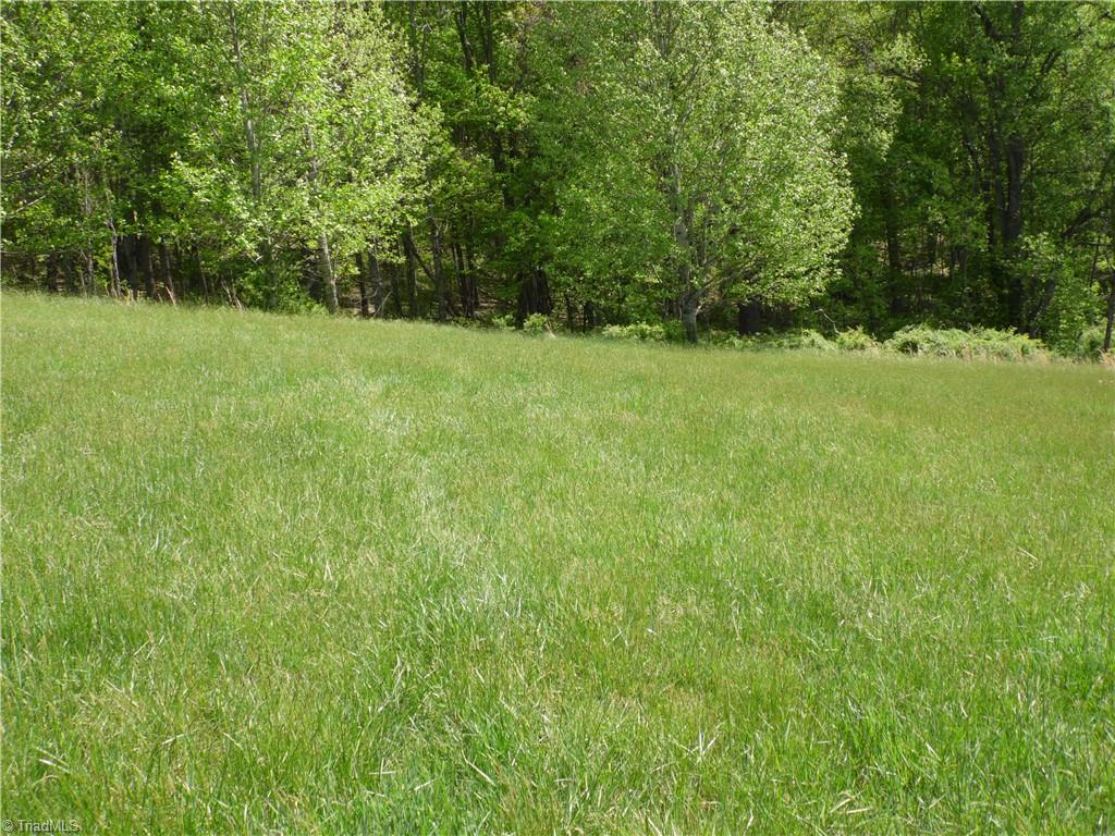 TBD Ginkgo Drive, Laurel Springs, North Carolina image 18