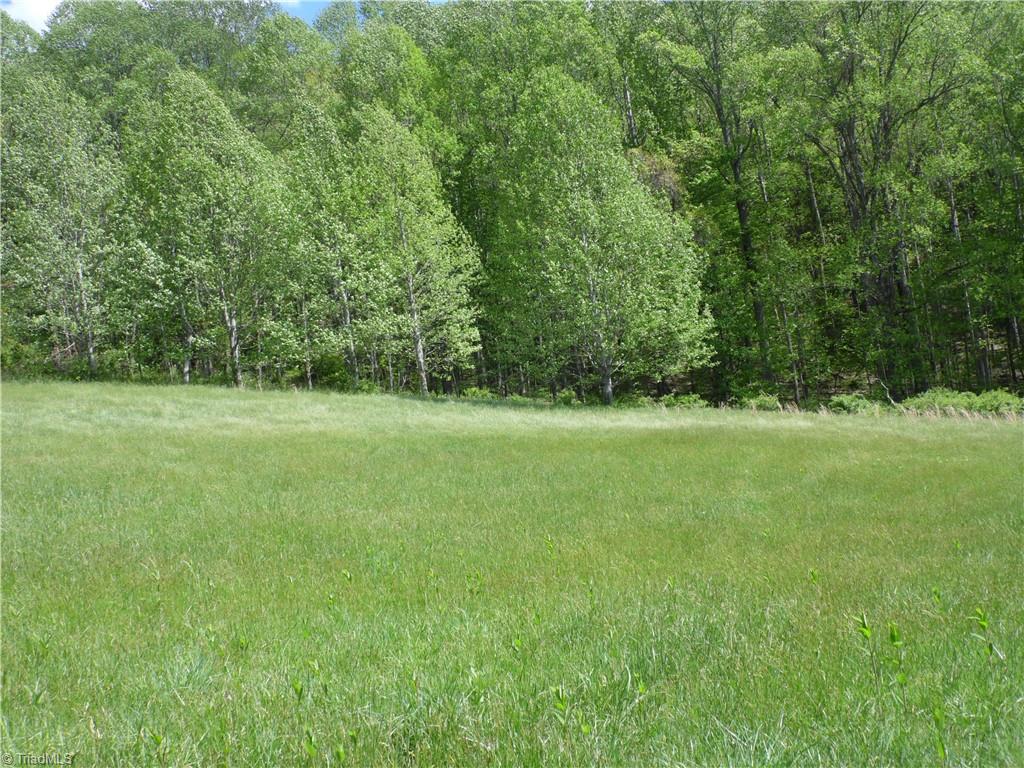 TBD Ginkgo Drive, Laurel Springs, North Carolina image 2