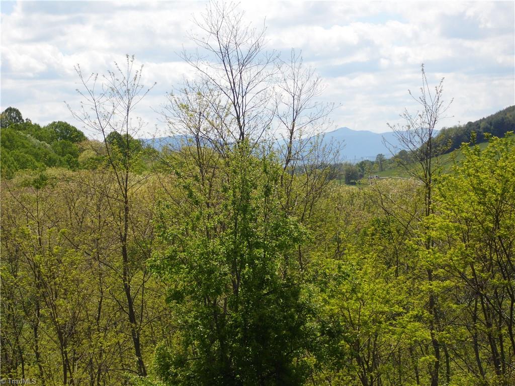 TBD Ginkgo Drive, Laurel Springs, North Carolina image 1